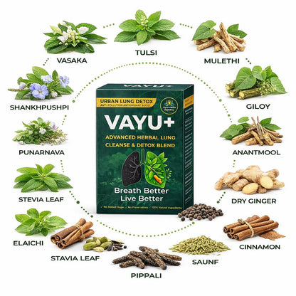 Vayu+ Lung Support Herbal Tea Powder